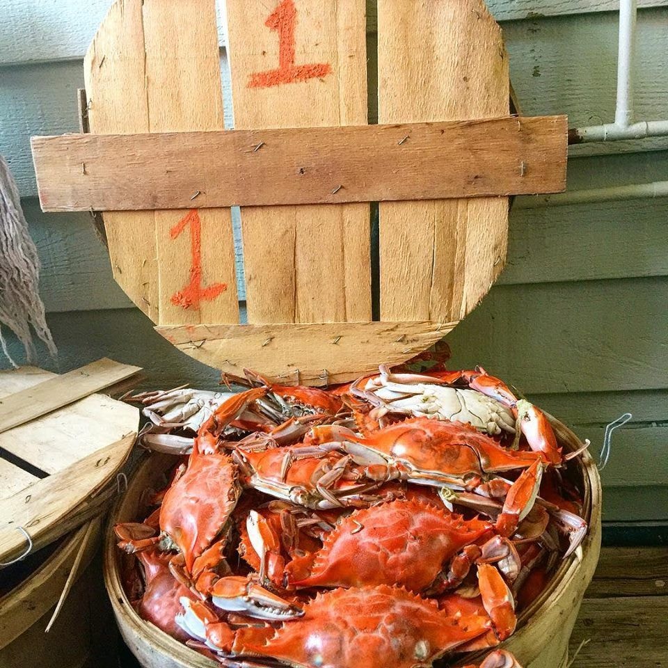 Steamed blue crabs in a bushel basket